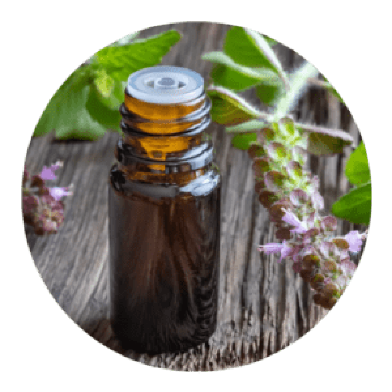 Krishna / Shyama Basil Oil from India